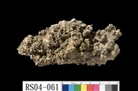 藏品(石灰岩)的圖片